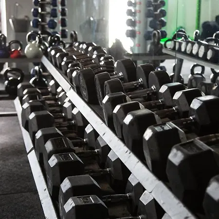 Alfresco * 温德米尔